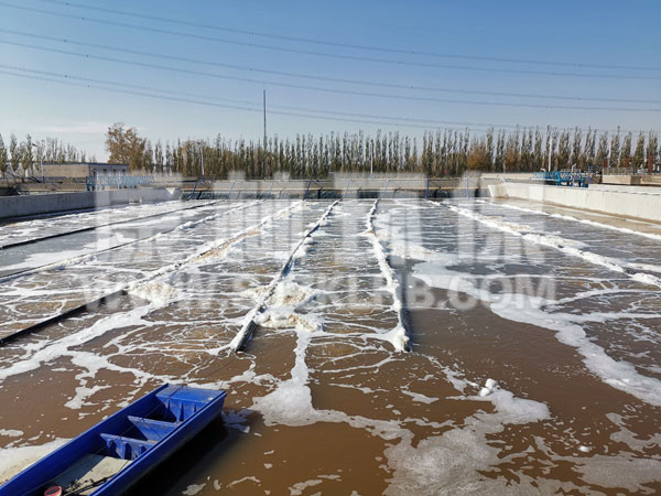 內(nèi)蒙污水處理廠懸掛鏈曝氣器安裝現(xiàn)場(chǎng) 內(nèi)蒙污水處理廠懸掛鏈曝氣器安裝現(xiàn)場(chǎng)