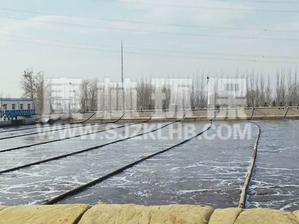 內(nèi)蒙污水處理廠懸掛鏈曝氣器安裝現(xiàn)場(chǎng) 內(nèi)蒙污水處理廠懸掛鏈曝氣器安裝現(xiàn)場(chǎng)